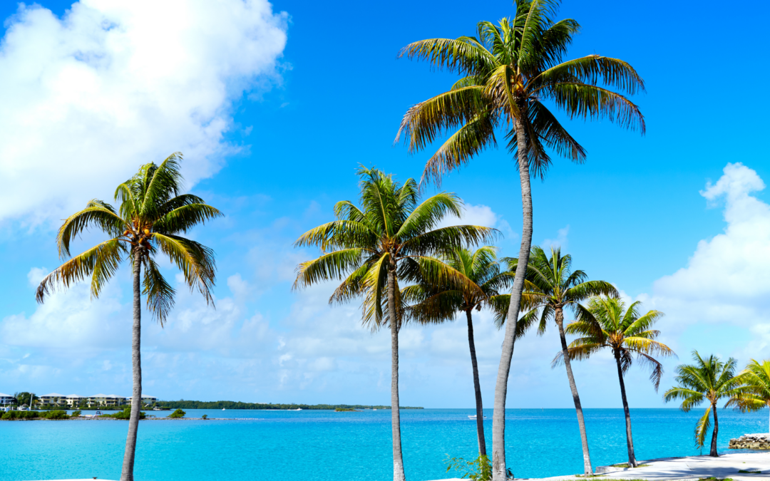 Why Florida Stands Out: The Economic and Demographic Factors Driving Multifamily Investments