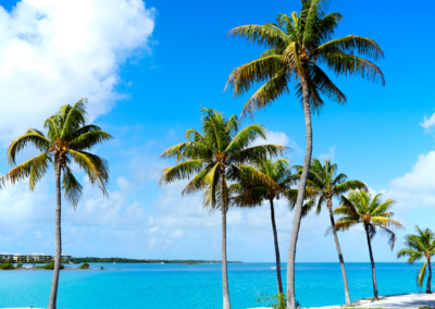 Why Florida Stands Out: The Economic and Demographic Factors Driving Multifamily Investments